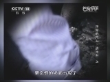 地理中国 《地理中国》20140407 神奇的古井——沸水井（上）