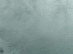 荒野求生第1季（Man vs. Wild Season 1） 荒野求生第1季（Man vs. Wild Season 1）第8集