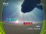 地理中国 《地理中国》 20180220 山河春色·魅蓝海岸