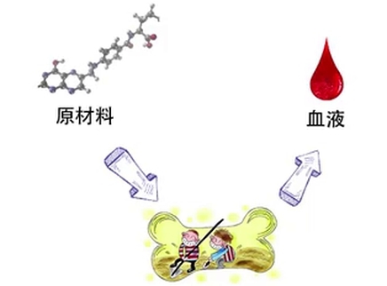 引起儿童贫血的常见原因有哪些？