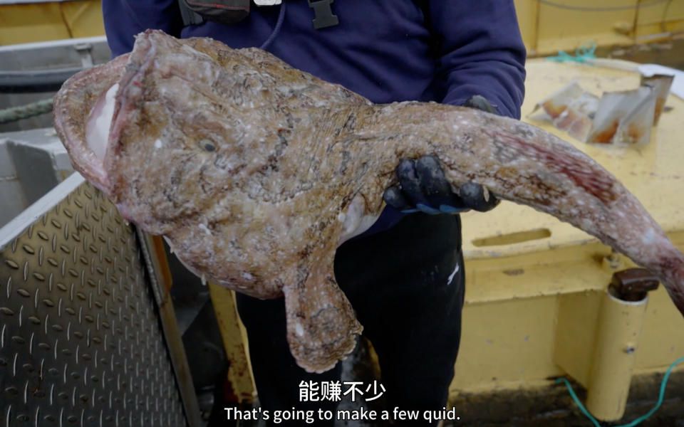 捕鱼日记 圣诞前夜