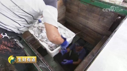 生财有道 《生财有道》 20181212 生态中国系列（沿海行）——浙江温岭：靠海吃海拓财路