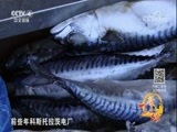 远方的家 《远方的家》 特别节目——亲历“一带一路” 塞尔维亚的惬意生活 20180223