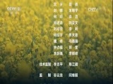 环球经济连线 《环球财经连线》 20170416