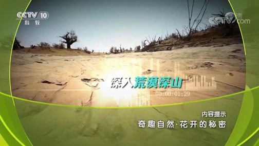 地理中国 《地理中国》 20190302 奇趣自然·花开的秘密
