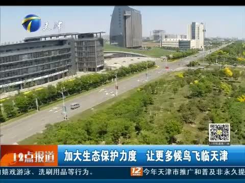 12点报道 《12点报道》 20150401