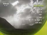 自然传奇 《自然传奇》 20170126 鸟的智慧