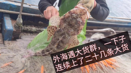 南澳岛赶海日记 渔网在海里一整夜，彪哥去收网，遇到大鱼群一下子上了20多条大货