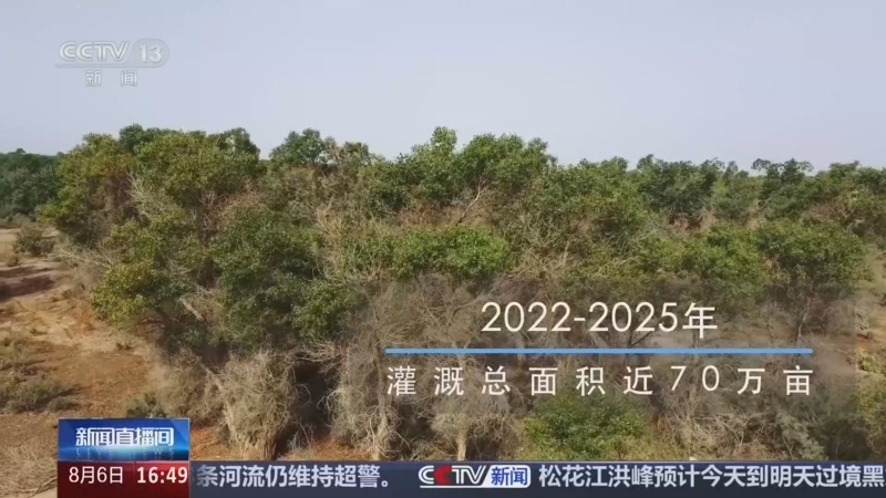 新闻直播间 《新闻直播间》 20260806 16:00