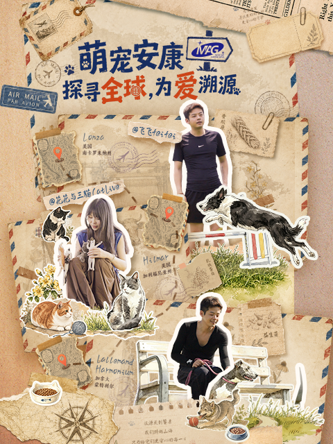 探寻全球，为爱溯源 海报