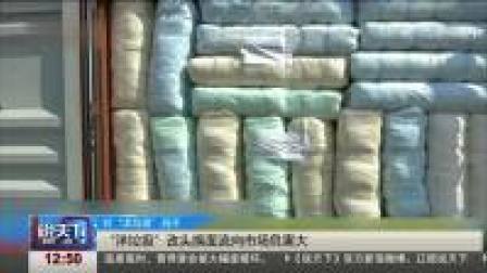 说天下 “洋垃圾”改头换面流向市场危害大