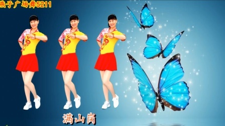陕北民歌广场舞《我的情哥哥》歌声细腻，甜美好听