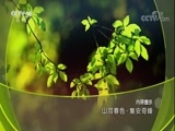 地理中国 《地理中国》 20180222 山河春色·集安奇峰