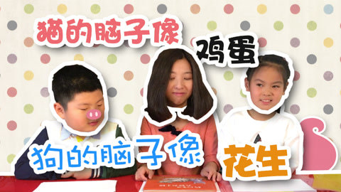 大鼻孔和小尾巴 奶奶家的中华田园猫
