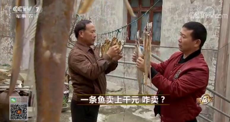 致富经 [致富经]一条鱼卖上千元 咋卖？ 20180328