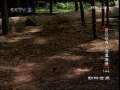 动物世界 动物世界 2009年 第147期