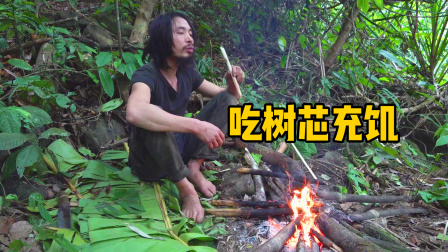原始丛林人苏门答腊 第二季 远离庇护所，去深山寻找更多食物，不料只能吃树芯充饥