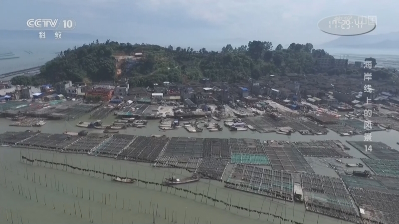 《地理·中国》 20260315 海岸线上的风景14