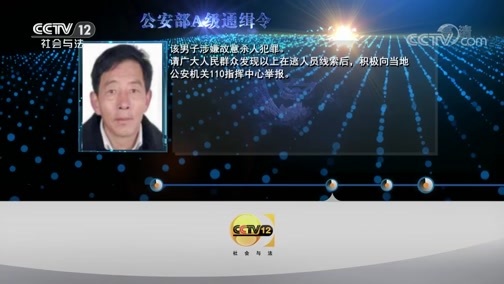 天网 《天网》 20190904 最后的伪装