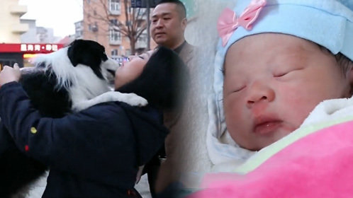 宝贝你好 第13期：任性辣妈养狗被禁当街崩溃大哭