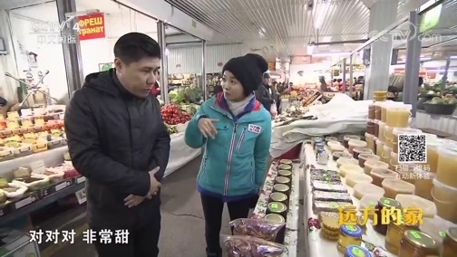 远方的家 《远方的家》 大道共赢（九）“一带一路”首倡之地——哈萨克斯坦 20180919