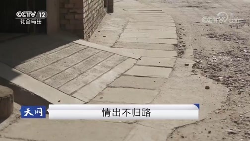 天网 《天网》 20180910 情出不归路