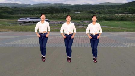 玫香广场舞《沙漠骆驼》最新流行20步弹跳步子附教学
