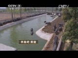 致富经 《致富经》 20150514 奔跑吧 黑猪