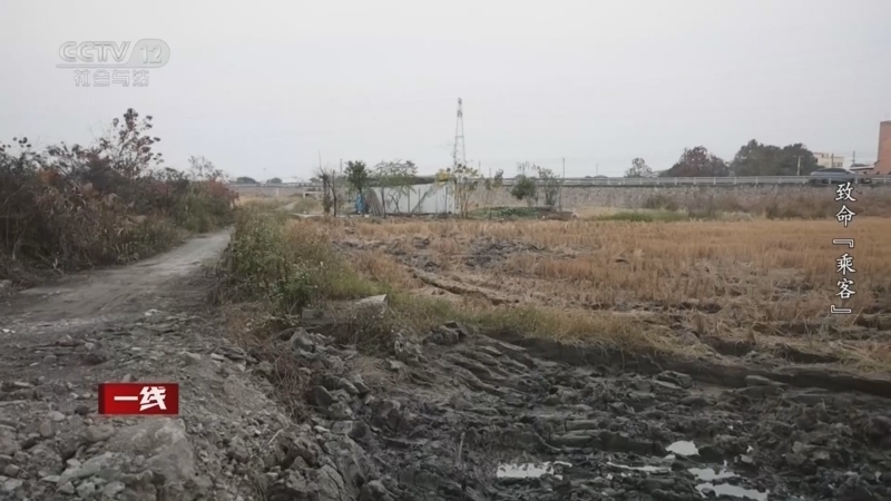 《一线》 20260213 致命“乘客”