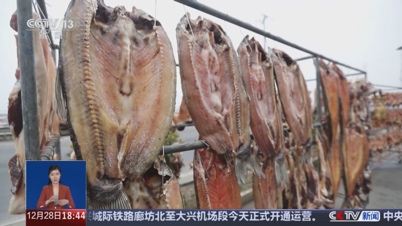 共同关注 《共同关注》 20241228