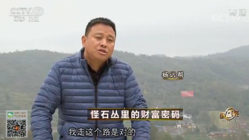 致富经 [致富经]怪石丛里的财富密码 20180108