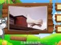 看图识物 白鹭 鸽子 鸳鸯