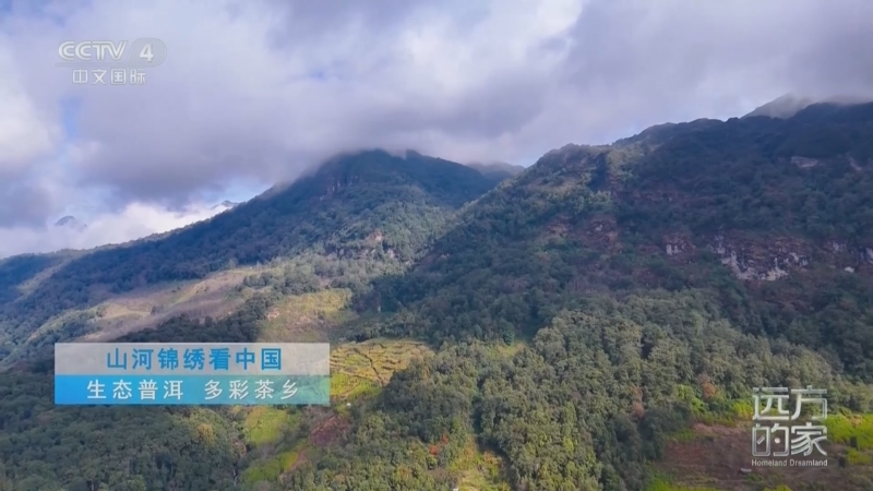 远方的家 《远方的家》 20250303 山河锦绣看中国 生态普洱 多彩茶乡