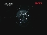 魅力纪录（CCTV-1综合频道） 《生命》 2 爬行类和两栖类动物