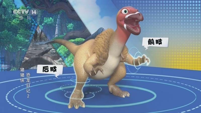 动画大放映 《动画大放映》 20231108 17:00