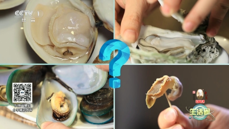 生活圈 《生活圈》 20230502