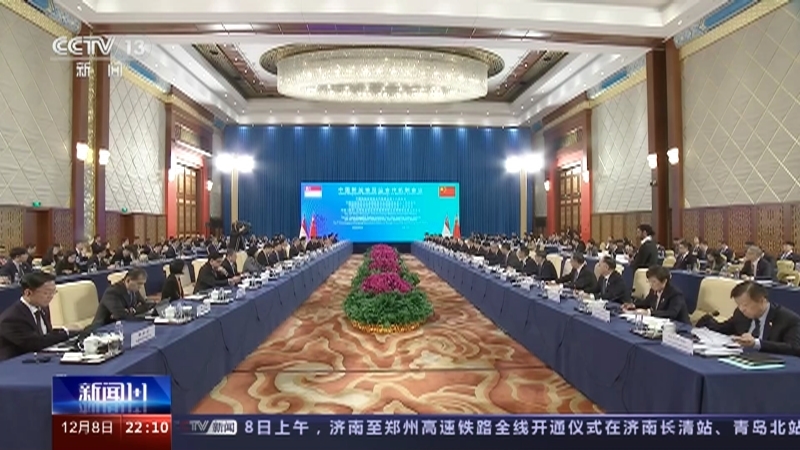 新闻1+1 《新闻1+1》 20231208 中国和新加坡，将实现30天互免签证！