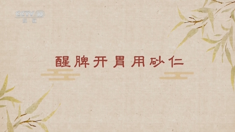百家讲坛 《百家讲坛》 20260130 舌尖上的养生（第三部） 10 醒脾开胃用砂仁