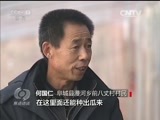 焦点访谈 《焦点访谈》 20160118 农民的“致富星”