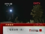 自然传奇 《自然传奇》 20120321 暗夜动物 （四）