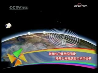 新闻袋袋裤 新闻袋袋裤 2008年 第259期