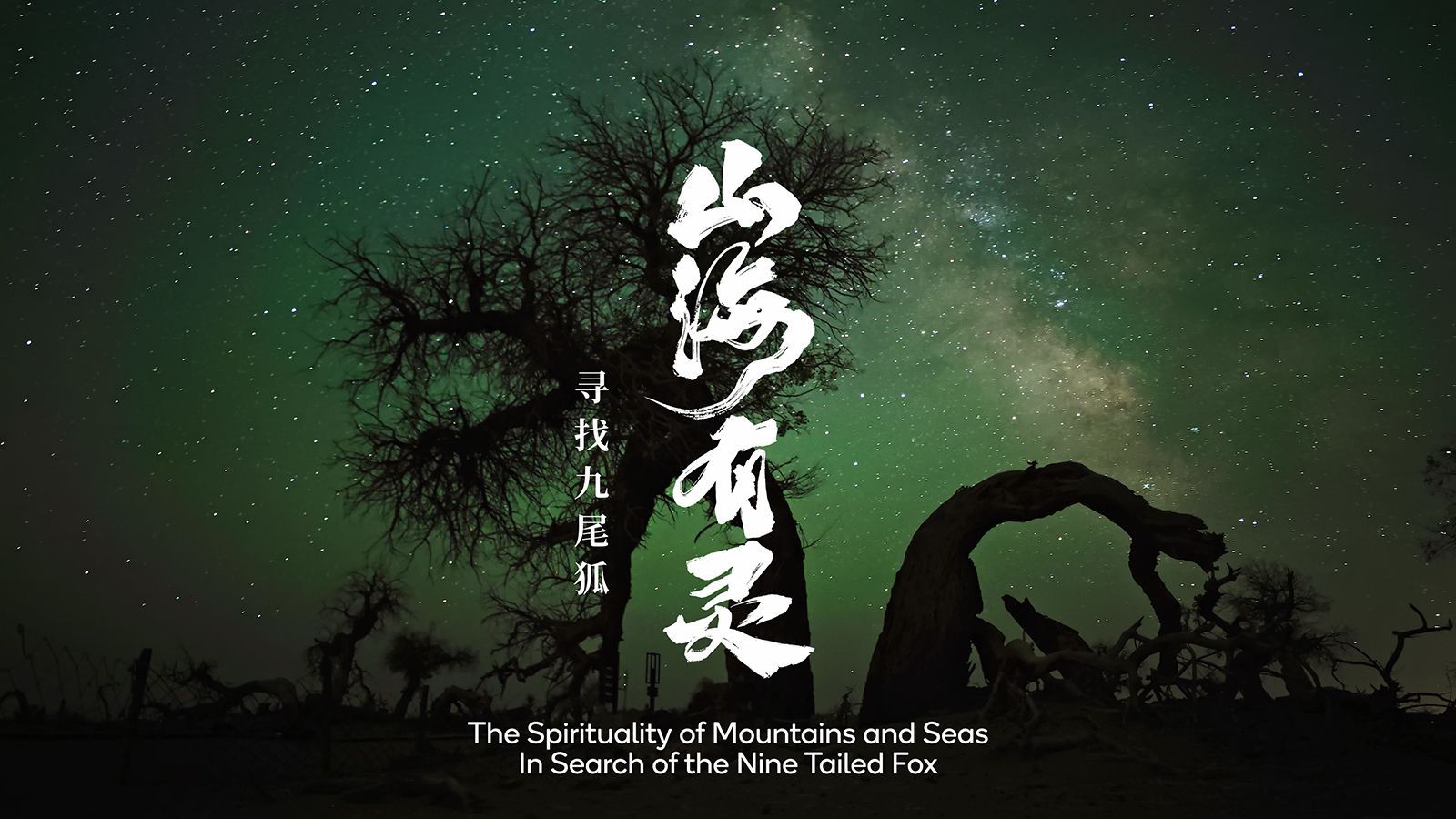 寻找九尾狐