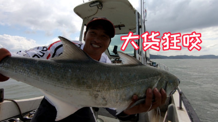 大风刚停大浪滔天，鱼群聚窝疯狂咬钩，今天又是狂拉的一天