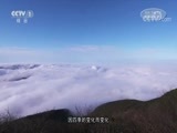 中华民族 《中华民族》 20171024 地球绿腰带 第一集 山之魂