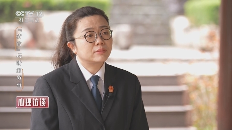 心理访谈 《心理访谈》 20240713 “清官”巧断家务事