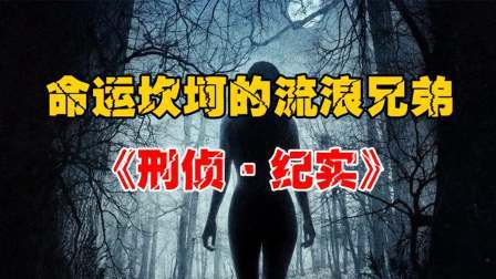 陕西流浪兄弟感动全国，哥哥盗窃弟弟销赃，警方抓捕后落泪