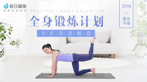 全身锻炼6整合平衡