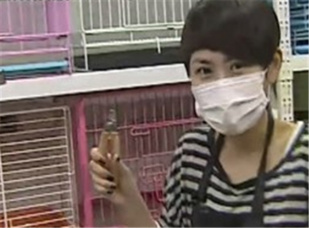 好女人 生活体验秀 宠物美容医师