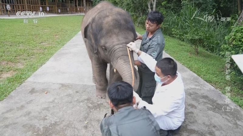 《人物·故事》 20260218 生灵守护者·保明伟（上）