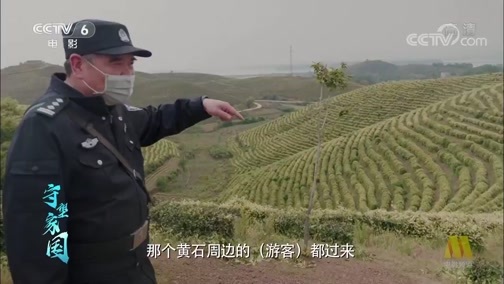 中国电影报道 《电影快讯》 20200425 守望家国 第六十五集 警徽闪闪发光 守护黄石无恙